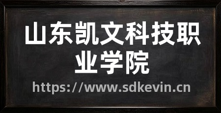 山东凯文科技职业学院