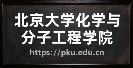 北京大学化学与分子工程学院