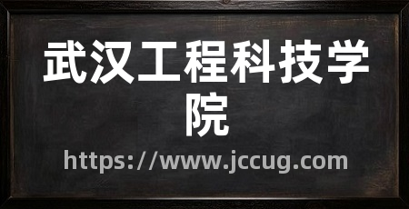武汉工程科技学院