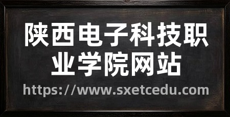 陕西电子科技职业学院网站