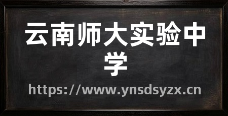 云南师大实验中学