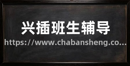 兴插班生辅导