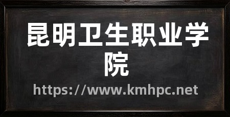 昆明卫生职业学院