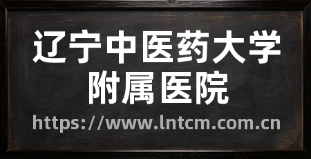 辽宁中医药大学附属医院