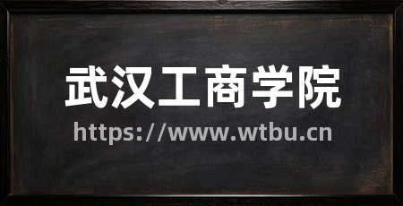 武汉工商学院
