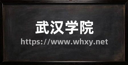 武汉学院