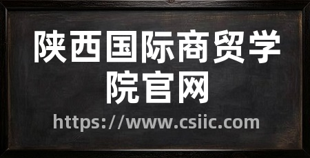 陕西国际商贸学院官网