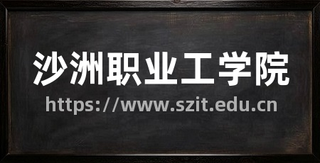 沙洲职业工学院