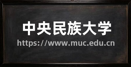 中央民族大学