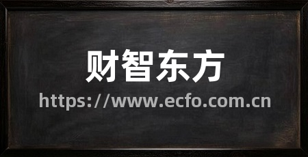 财智东方