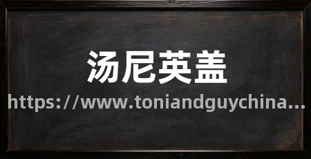 汤尼英盖