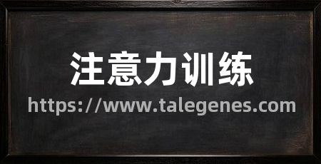 注意力训练