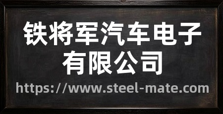 铁将军汽车电子有限公司