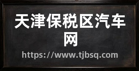 天津保税区汽车网