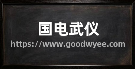 国电武仪