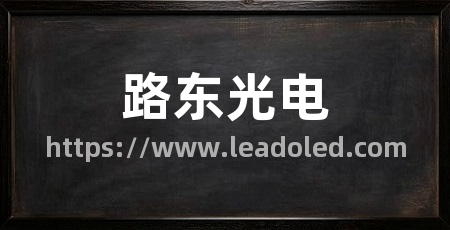 路东光电