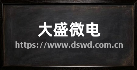 大盛微电