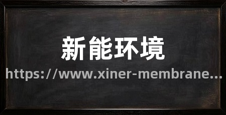 新能环境