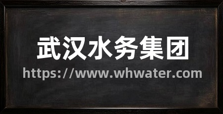 武汉水务集团