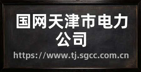 国网天津市电力公司
