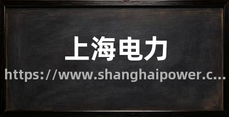 上海电力