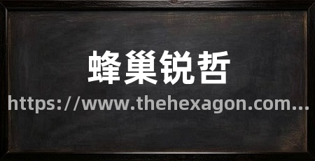 蜂巢锐哲