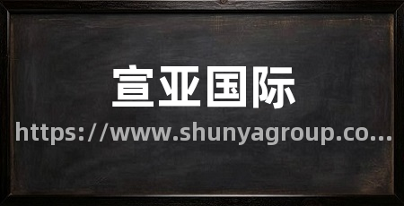 宣亚国际