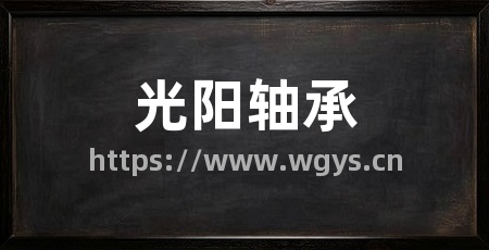 光阳轴承
