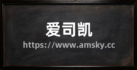 爱司凯