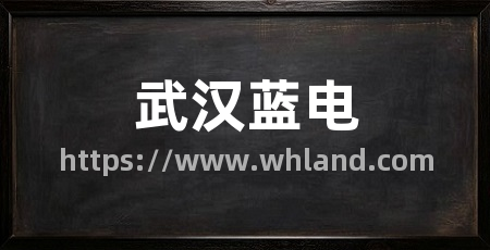 武汉蓝电