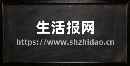 生活报网