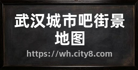 武汉城市吧街景地图