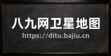 八九网卫星地图