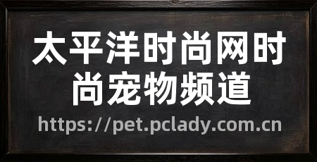 太平洋时尚网时尚宠物频道
