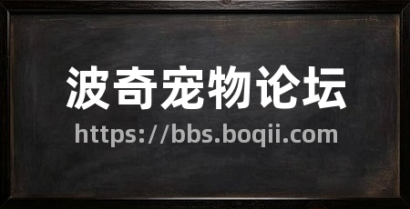 波奇宠物论坛