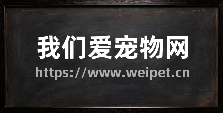 我们爱宠物网
