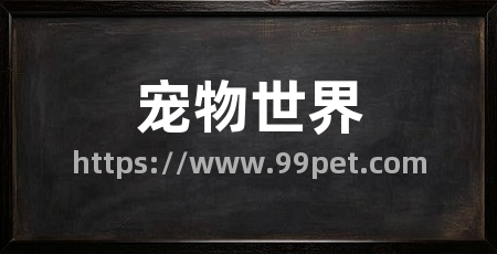 宠物世界