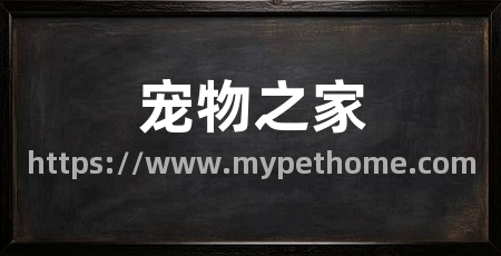 宠物之家