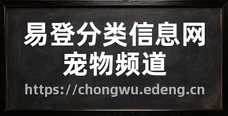 易登分类信息网宠物频道
