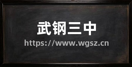 武钢三中