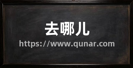 去哪儿