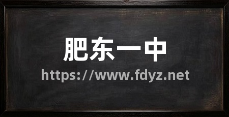 肥东一中