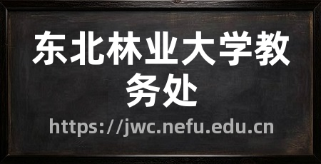 东北林业大学教务处