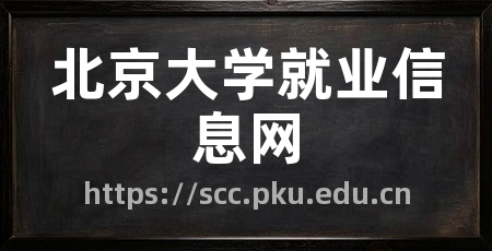 北京大学就业信息网