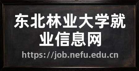 东北林业大学就业信息网