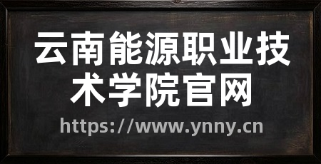 云南能源职业技术学院官网