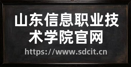 山东信息职业技术学院官网