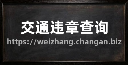 交通违章查询