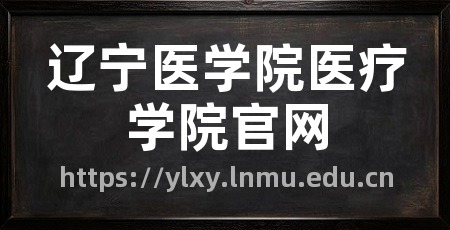 辽宁医学院医疗学院官网