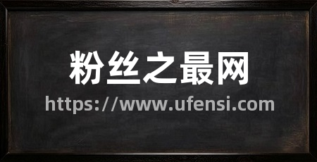 粉丝之最网